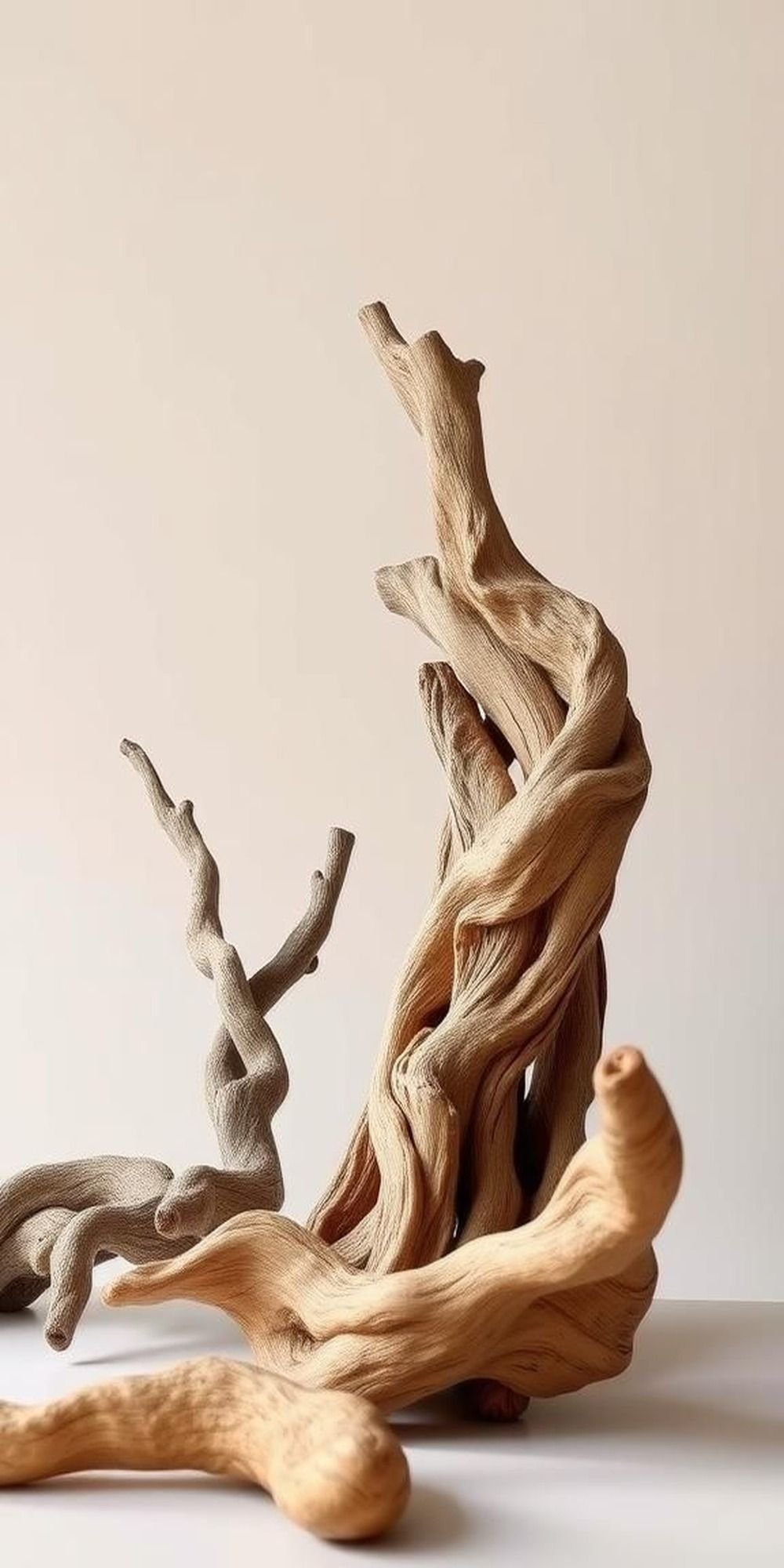 Natural Forms Highlighted in Driftwood Art