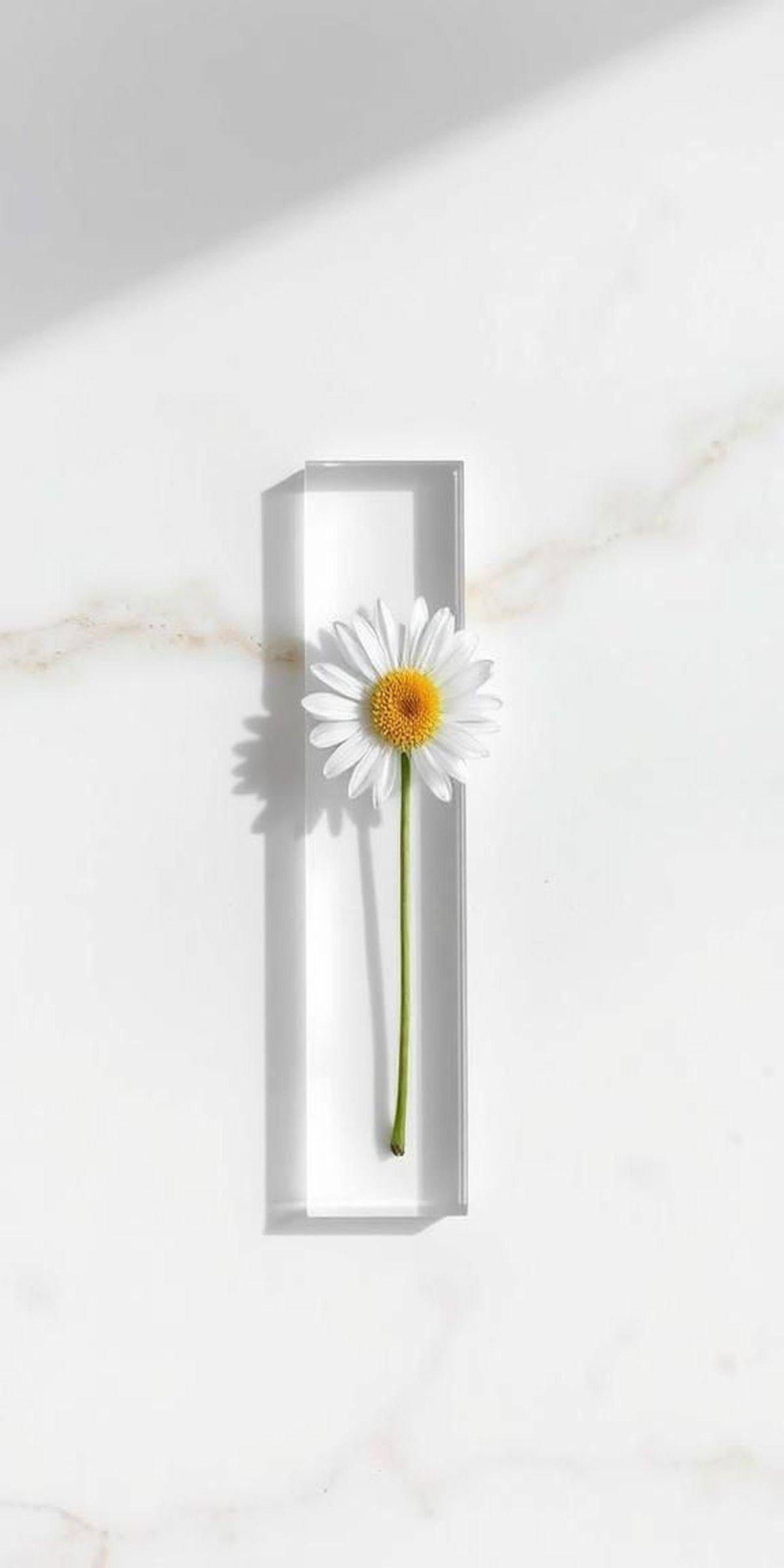 Minimal Clear Resin Bookmark With Single Daisy Stem
