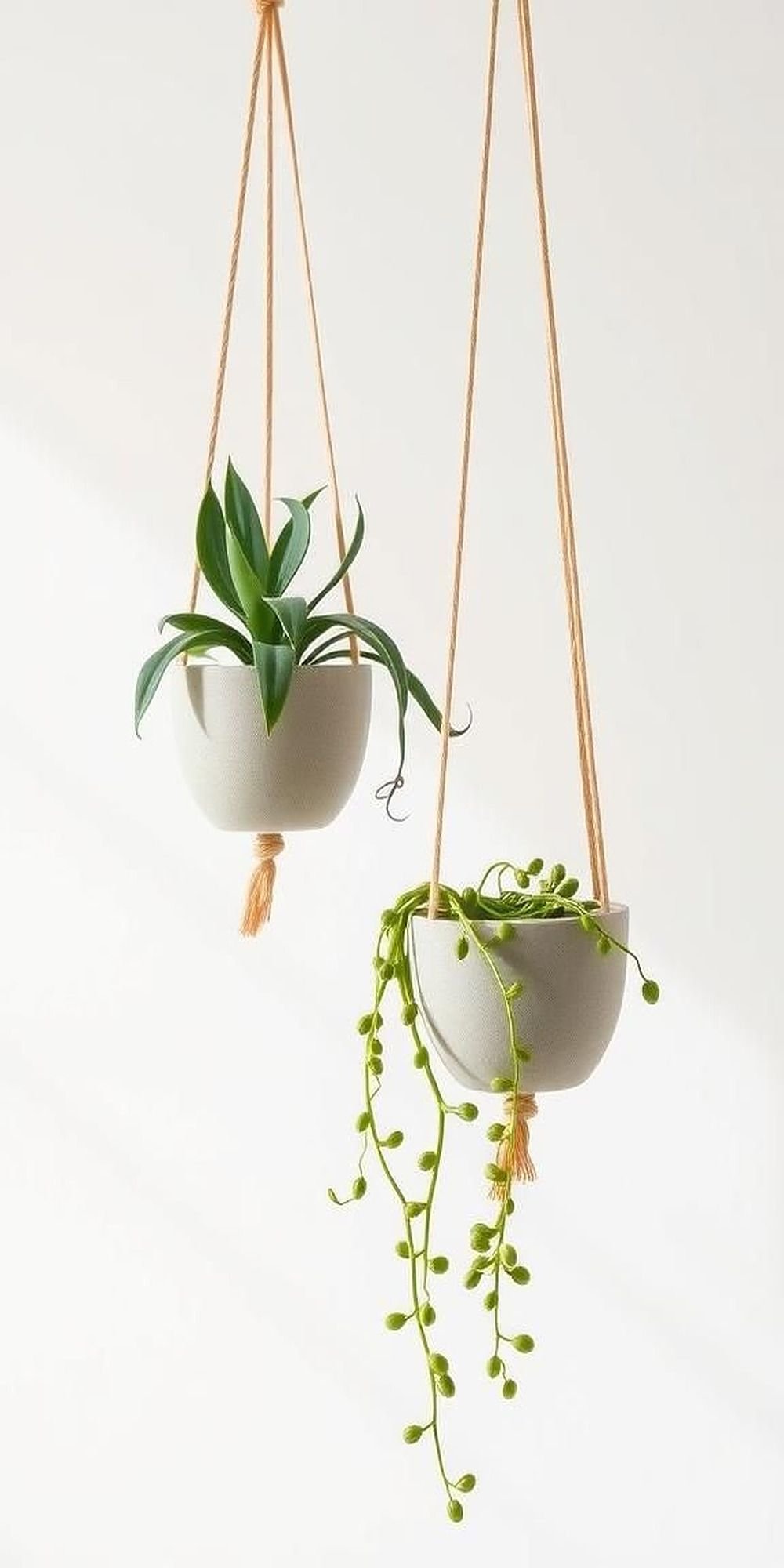 Hanging Concrete Planters for Elevated Greenery