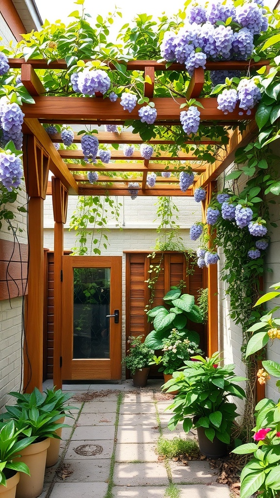 Wooden pergola adorned with purple climbing flowers in a small garden.